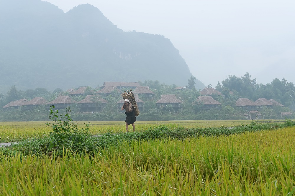 Mai-Chau