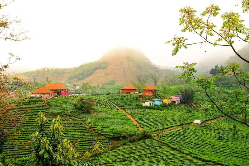 Thưởng lãm mùa vàng Mai Châu – Mộc Châu