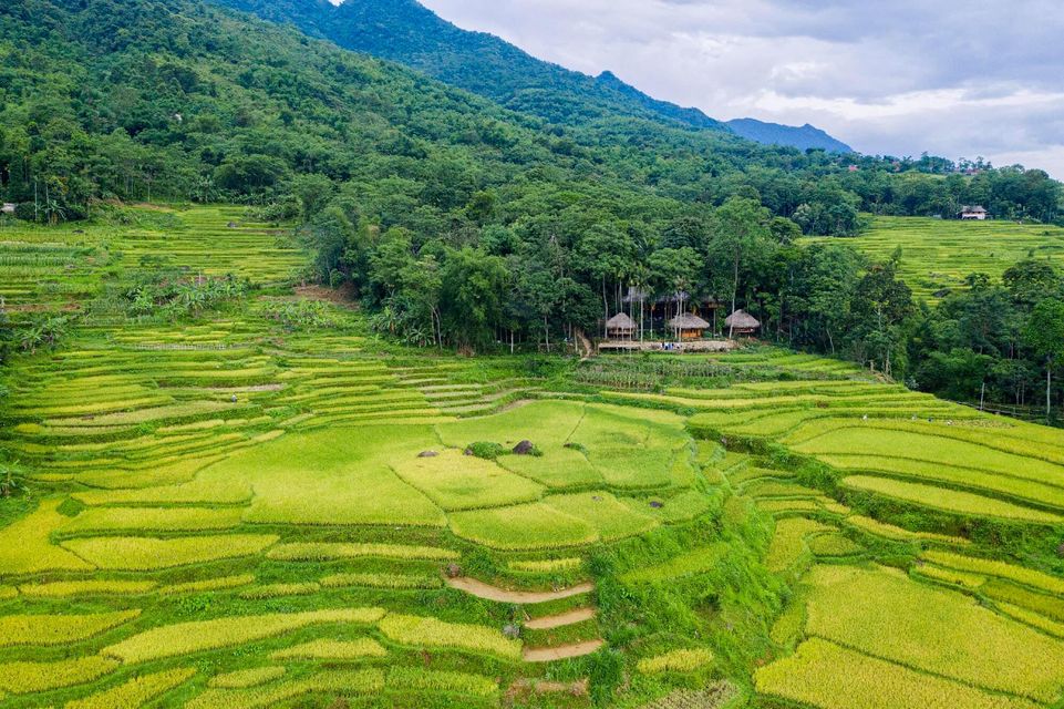 Bức tranh thủy mặc Pù Luông