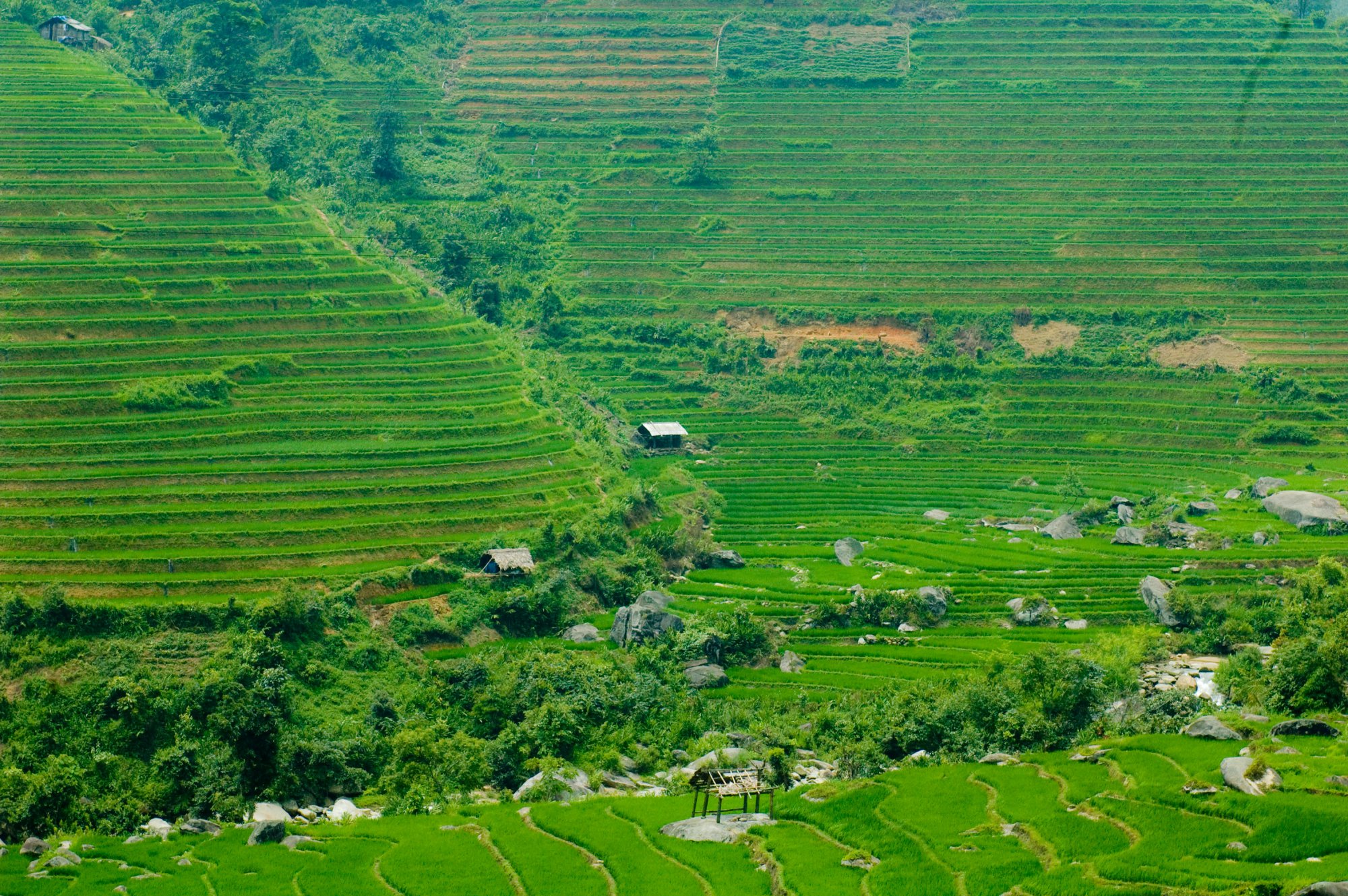 TST tourist đa dạng các đường tour mùa thu