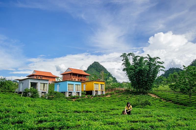 Sắc màu Mộc Châu Arena Village vẫy gọi