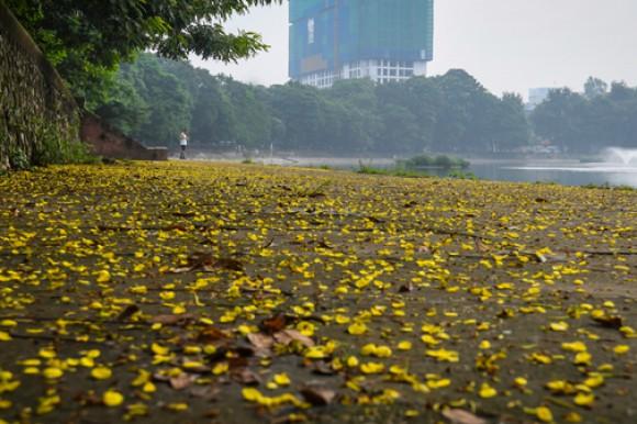 Những dấu hiệu thu về trên phố ở Hà Nội