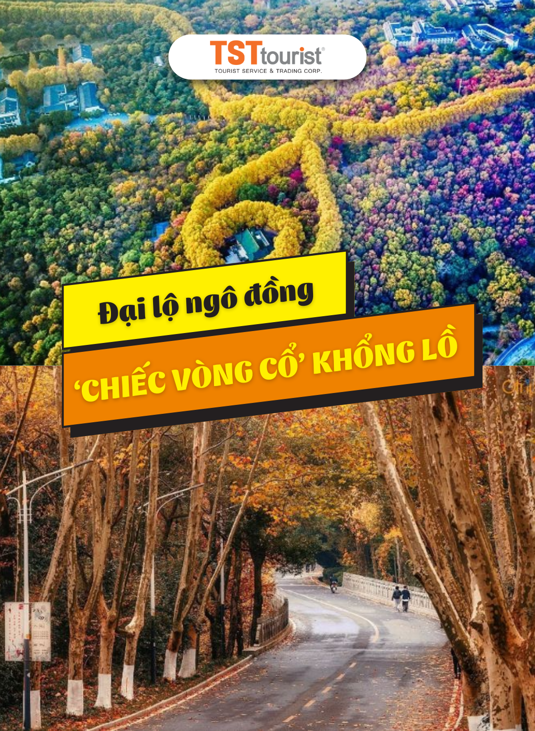 ĐẠI LỘ NGÔ ĐỒNG - ‘CHIẾC VÒNG CỔ’ KHỔNG LỒ GIỮA NAM KINH