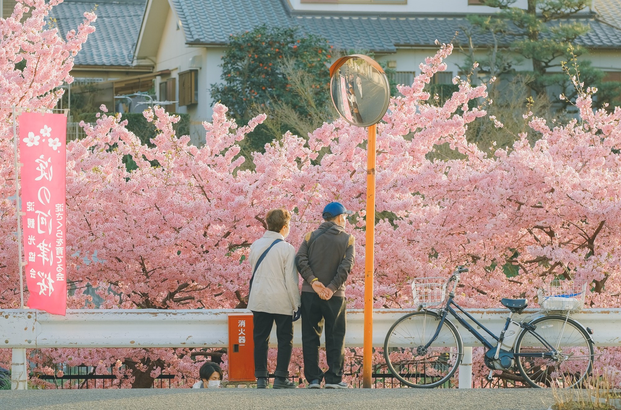 Mùa hoa đào Nhật Bản