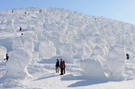 Rừng 'quái vật tuyết' ở Nhật Bản