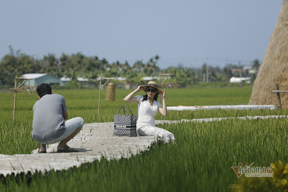 Giới trẻ say mê tìm về cánh đồng lúa làm điều yêu thích