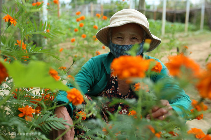 Người Hội An mong chờ du khách trở lại