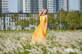 Bãi cỏ lau trắng muốt nở rộ ở Hà Nội, khách chụp ảnh 'mộng mơ' quên nỗi lo Covid-19