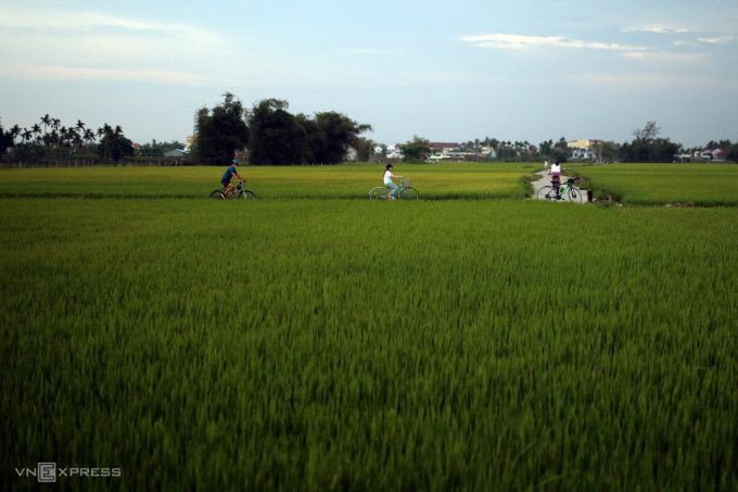 TSTtourist-nguoi-hoi-an-mong-cho-du-khach-tro-lai-4