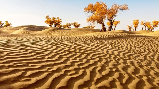 Tranh vẽ sa mạc: Nhìn vào những đường nét phác thảo tự nhiên của một bức tranh sa mạc, bạn sẽ nhận ra sự độc đáo và đơn giản của sự tự nhiên. Màu sắc nâu đỏ của đất sa mạc, màu vàng của những đường cát và bầu trời xanh thẳm sẽ tạo nên một bức tranh nguyên sơ và đáng nhớ.