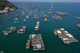 Hòn đảo 'nghìn bè cá' trên biển Kiên Giang