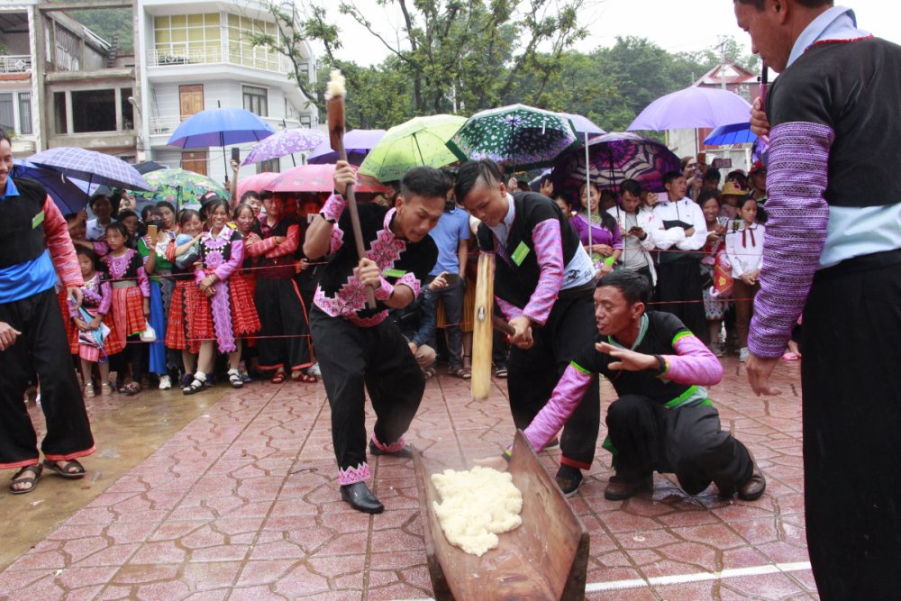 TSTtourist-trai-nghiem-du-lich-nong-nghiep-doc-dao-o-son-la-3