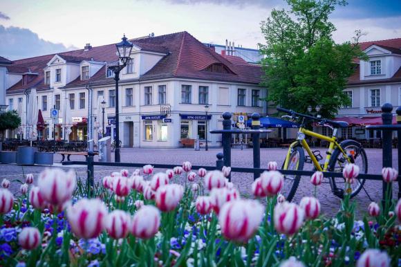 Vẻ đẹp thơ mộng của thành phố di sản Potsdam, Đức