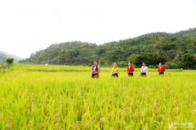 Từ bãi vàng đến điểm du lịch sinh thái hấp dẫn nơi vùng cao Nghệ An