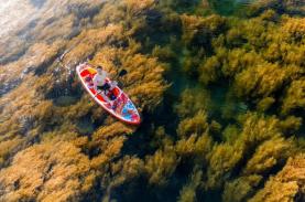 Mùa rong biển tựa cánh đồng dưới nước ở Quy Nhơn