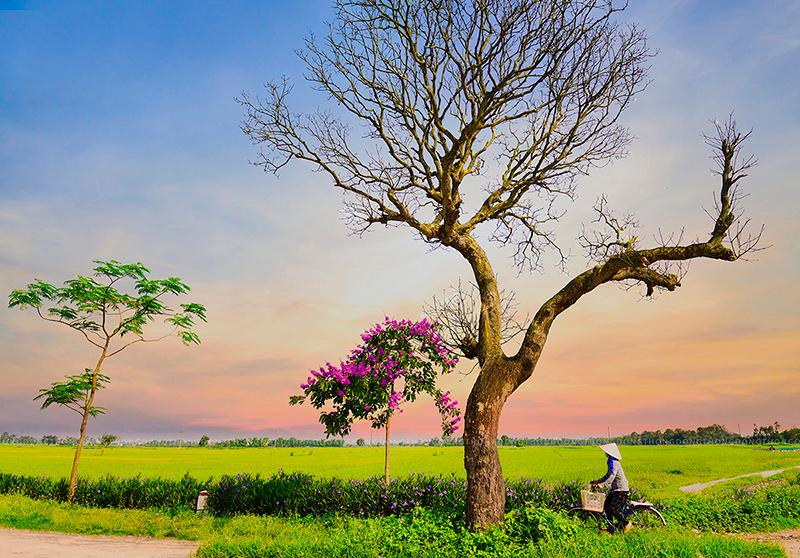 Ngoại thành Hà Nội: Những hình ảnh về ngoại thành Hà Nội sẽ khiến bạn khám phá những cung đường đẹp nhất của miền Bắc Việt Nam. Bạn sẽ được chiêm ngưỡng cảnh quan thiên nhiên tuyệt đẹp, những ngôi chùa cổ kính và những làng quê yên bình.
