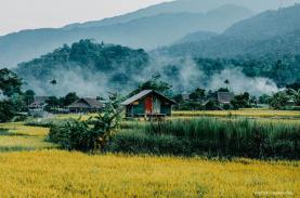 Ghé thăm thôn Tha, bản người Tày yên bình tại Hà Giang