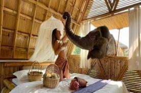 Khu nghỉ dưỡng thân thiện với voi ở Thái Lan