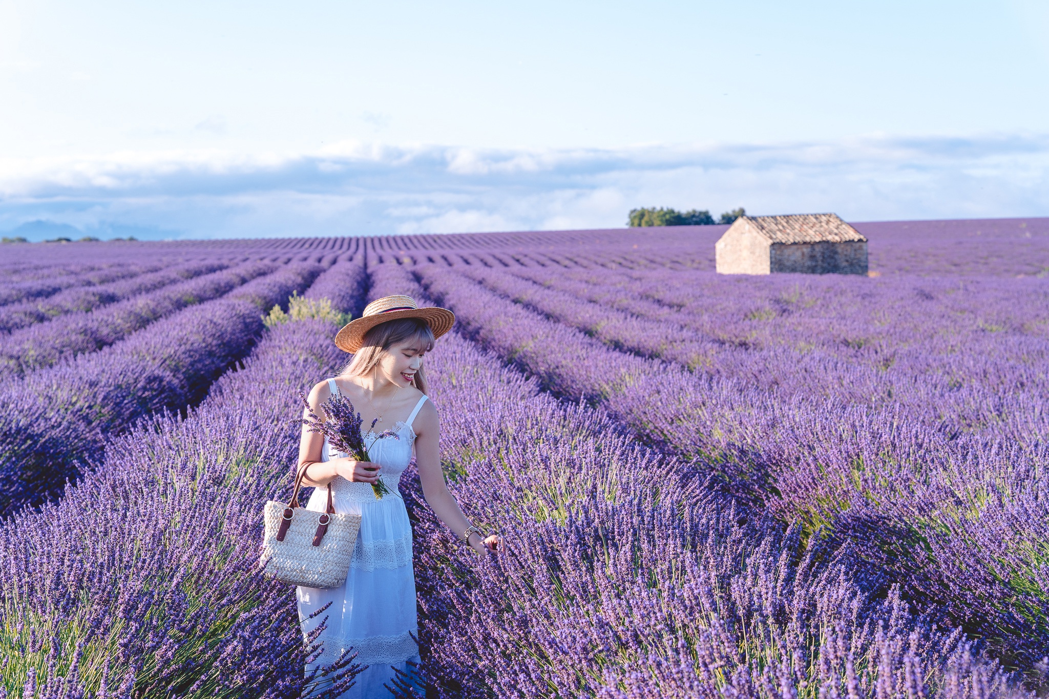 Mau chóng được đắm mình trong những cánh đồng oải hương tuyệt đẹp ở Pháp. Hãy xem hình ảnh và cảm nhận cảm giác thư thái và yên bình.