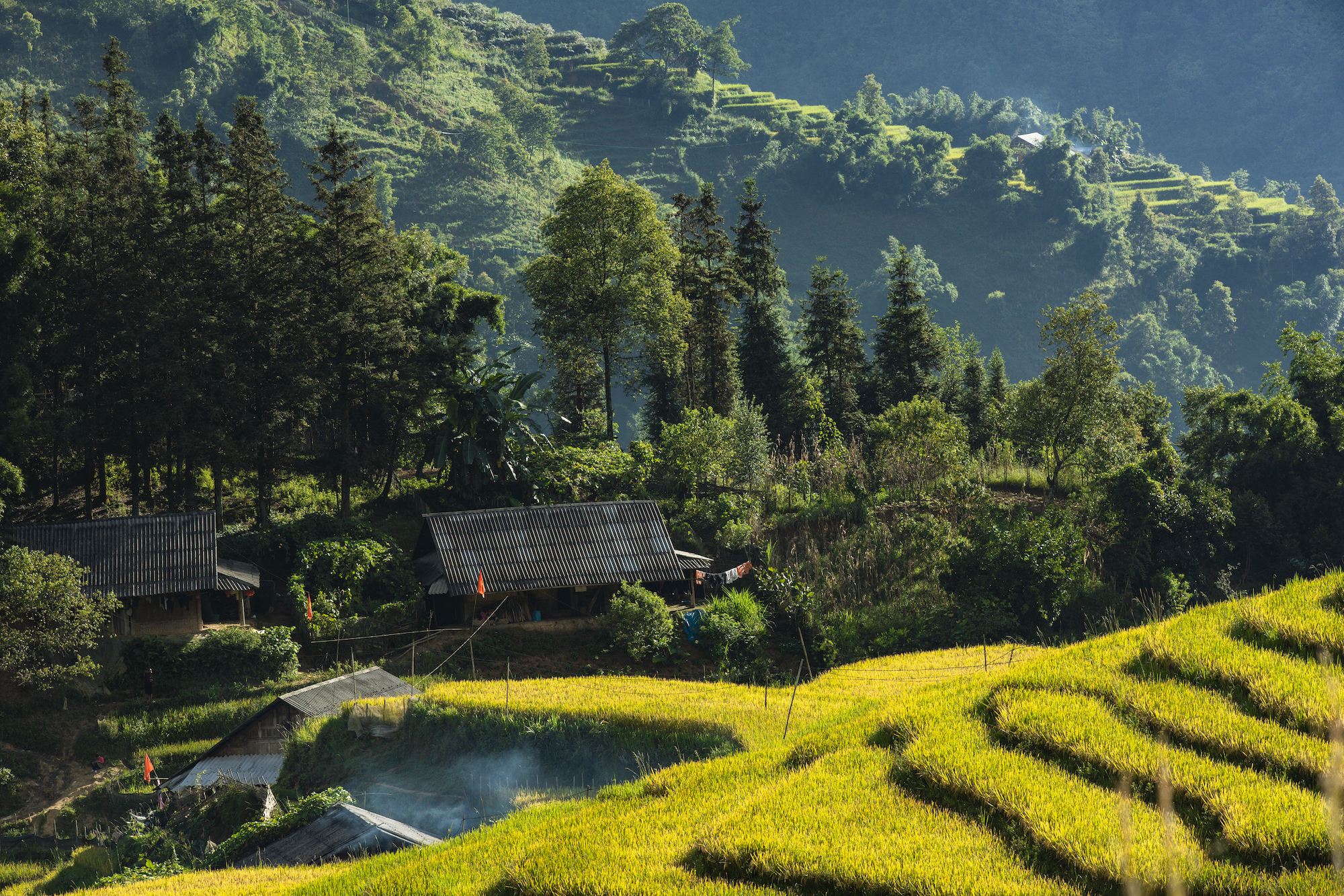 Mùa vàng tĩnh lặng ở Sa Pa