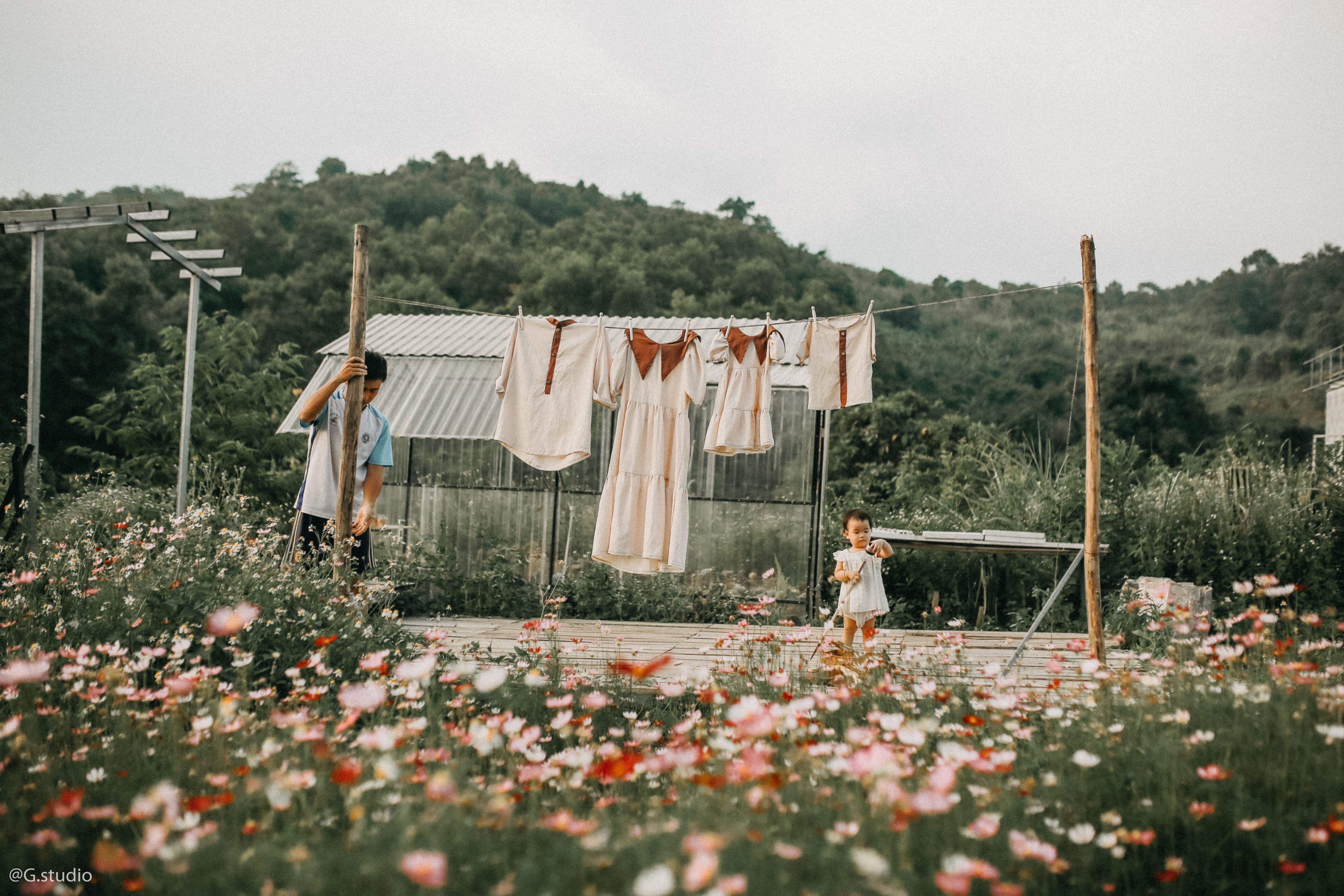 Cặp đôi bỏ phố về ngọn đồi không điện lưới, dựng 'Đà Lạt thu nhỏ' đẹp mê hồn