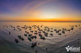 Chợ cá đẹp nhất vùng biển Quảng Nam