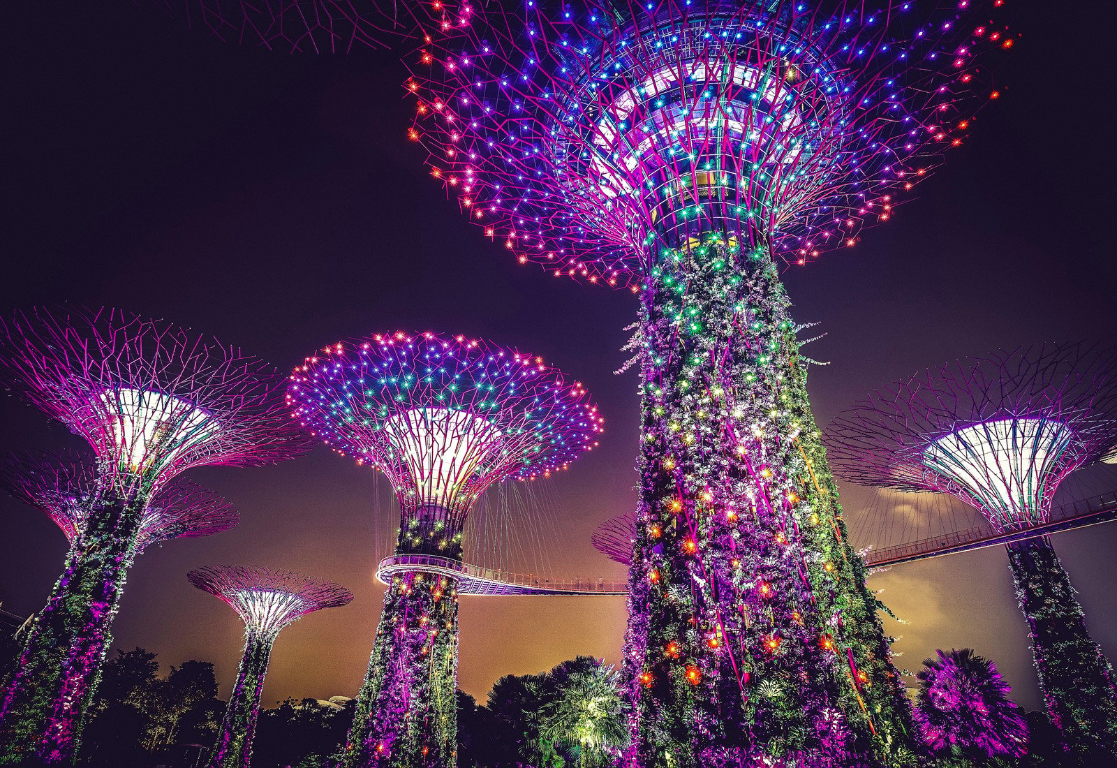Khu vườn Garden by the Bay luôn hấp dẫn với khách du lịch Singapore