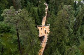 Đường đi bộ trên 'đỉnh ngọn cây' ở Thụy Sỹ: Dài nhất thế giới, xuyên 1,5 km rừng