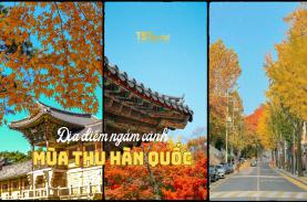 Địa điểm du lịch Hàn Quốc mùa thu