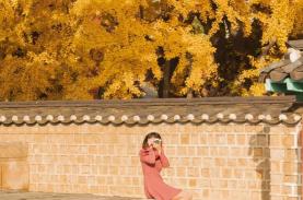 5 điểm ngắm lá vàng mùa thu gần trung tâm Seoul
