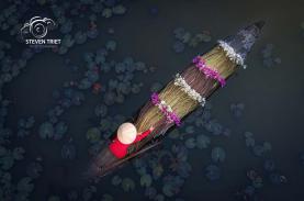 Đẹp nao lòng mùa bông súng trên đồng lũ Mộc Hóa, Long An