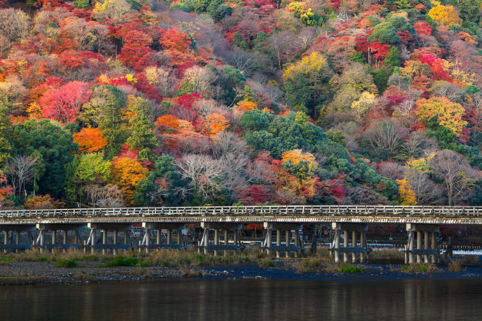 Cảnh sắc mùa thu đầy mê hoặc từ chiếc Togetsu-kyo