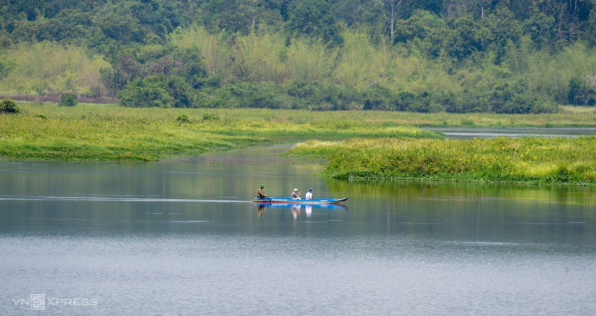 Bốn khu rừng gần TP HCM