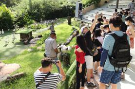 Hai ngày của du khách Hàn Quốc ở Phú Quốc