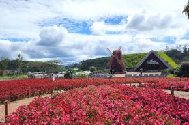 Đà Lạt - Du lịch những làng hoa