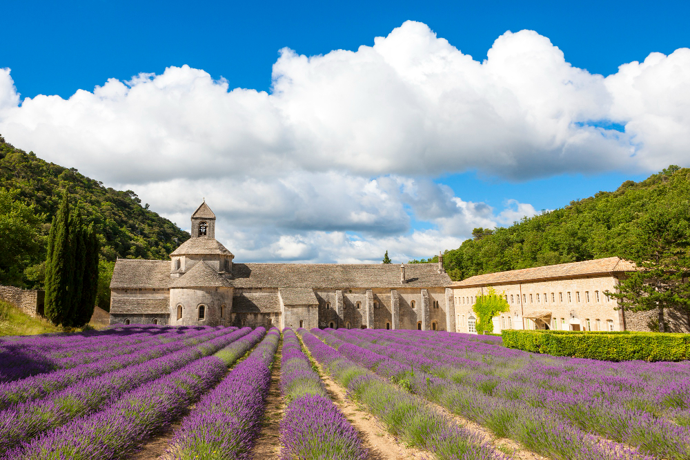 Vẻ đẹp kiều diễm của Pháp khi vào mùa hoa Lavender