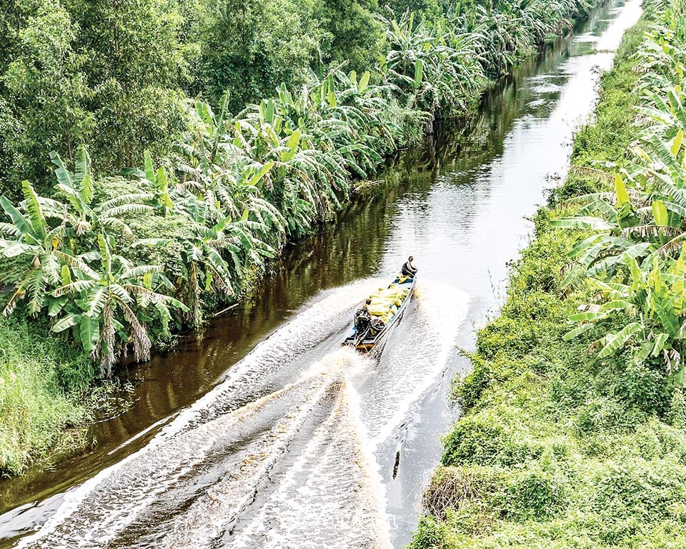 U Minh mùa nước nổi