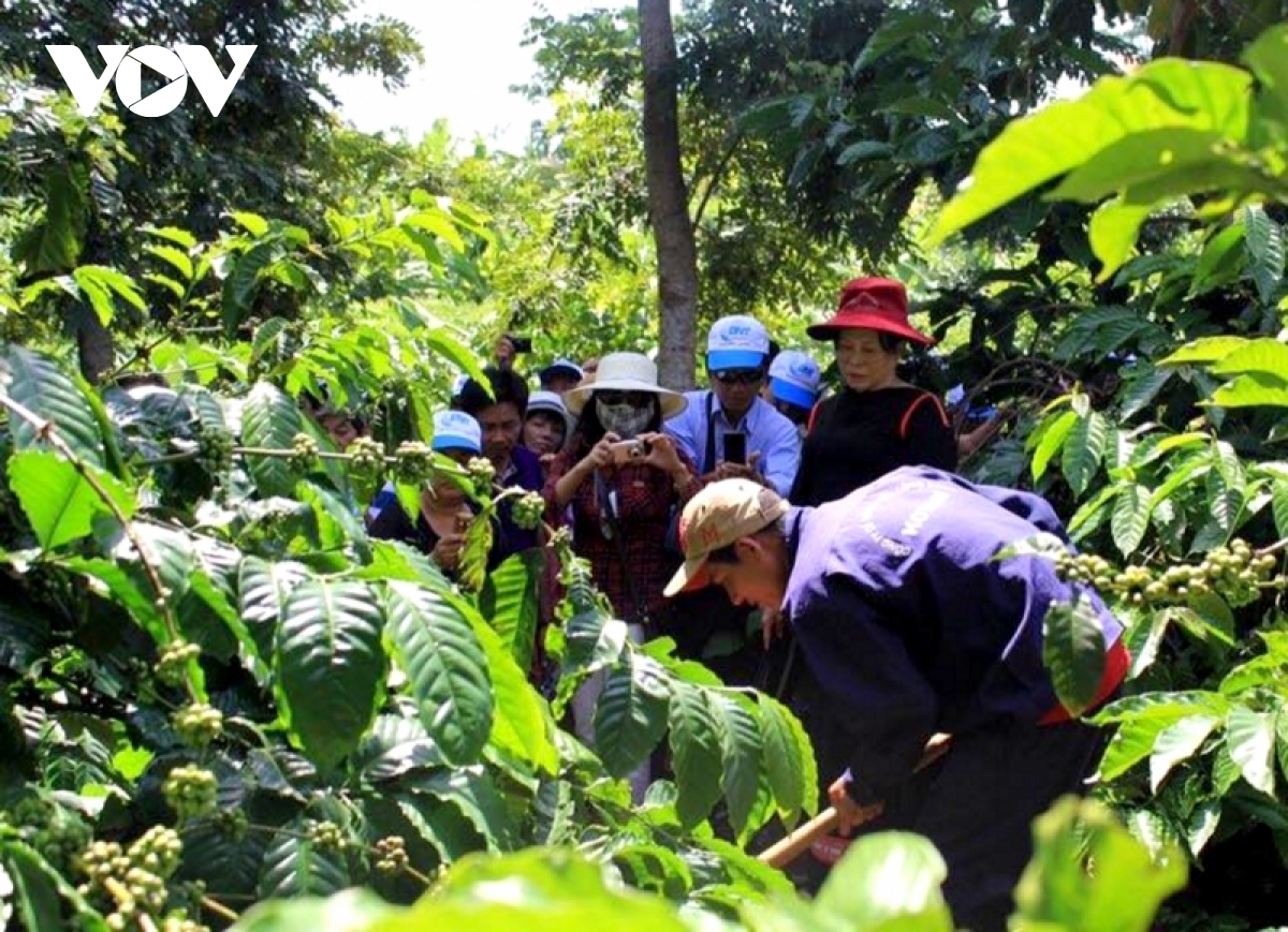 Đắk Lắk triển khai các chương trình phục hồi du lịch