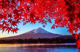 10 điểm ngắm lá đỏ đẹp nhất Nhật Bản năm 2018