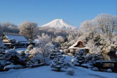 TRẢI NGHIỆM MÙA ĐÔNG NHẬT BẢN: TOKYO - HAKONE - FUJI