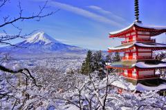 TRẢI NGHIỆM MÙA ĐÔNG NHẬT BẢN: TOKYO - HAKONE - FUJI