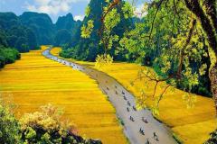 [MÙNG 2 TẾT] HÀ NỘI - SAPA - HẠ LONG - NINH BÌNH