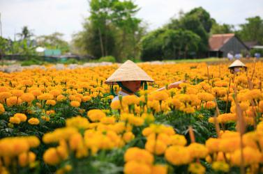 [25 TẾT ÂM LỊCH] DU XUÂN ĐỒNG THÁP - LÀNG HOA SA ĐÉC 